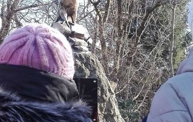 NOWY POMYSŁ NA DZIEŃ KOBIET &ndash; KOŁO PZN GRYFICE