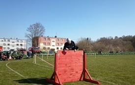 IMG_20260411_105048