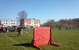 IMG_20260411_105047