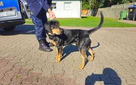 IMG-20260825-WA0002