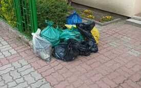 IMG-20260918-WA0008