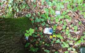 IMG-20260918-WA0019