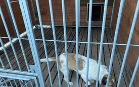 IMG-20261019-WA0002