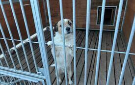 IMG-20261019-WA0001