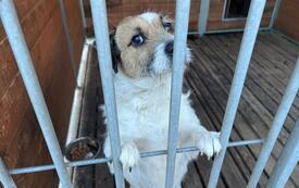 IMG-20261019-WA0000