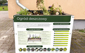 Ogrody_deszczowe-Aeris_Nova_Prusinowo-87