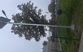 image00017.jpeg