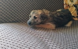 IMG_20210212_111024asdasdasda