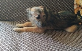 IMG_20210212_111034asdasda