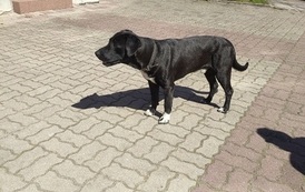 IMG_20210427_141551_BURST1