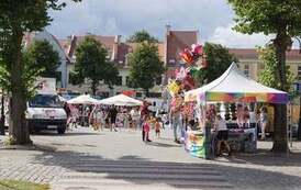 231767432_250458417080438_7042672423251696647_n