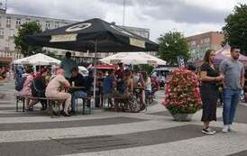 233498620_250458543747092_3282672647608401660_n