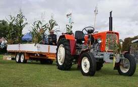 241013360_269693011823645_4602131461571404298_n