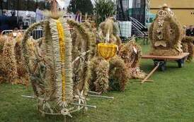 241022616_269692711823675_7648535805481466214_n