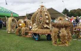 241034320_269692518490361_8044251927469782934_n