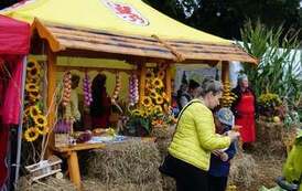 242217433_283264760466470_169333656366831406_n