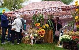 242224246_283263207133292_3838703870961974779_n