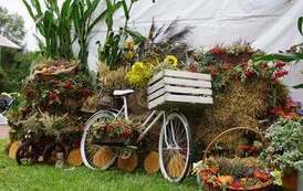 242267759_283263157133297_8183445699693018146_n