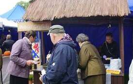 242214464_283263000466646_3530122500315852175_n