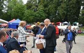 242221005_283261183800161_3960096595013945285_n