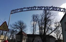 NOWY POMYSŁ NA DZIEŃ KOBIET &ndash; KOŁO PZN GRYFICE