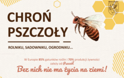 Zdjęcie do Rolniku, sadowniku, ogrodniku... Chroń Pszczoły!