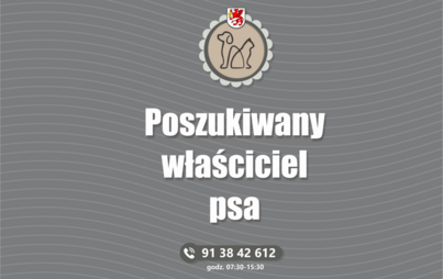 Zdjęcie do Poszukiwany właściciel psa!